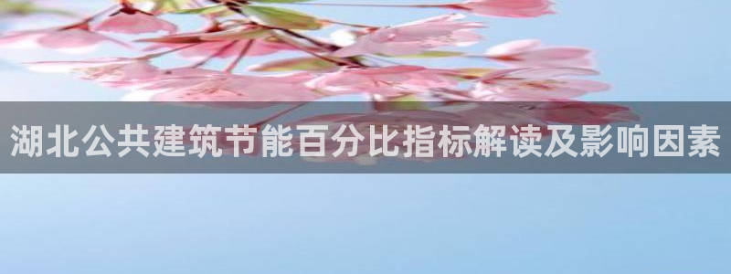 e尊国际app：湖北公共建筑节能百分比指标解读及影响因素