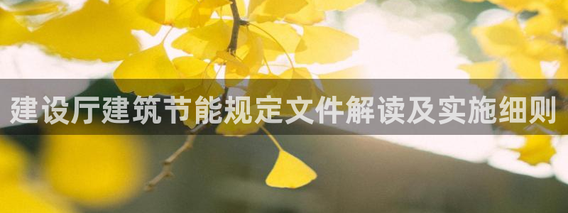 e尊国际是干什么的：建设厅建筑节能规定文件解读及实施细则