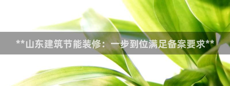 e尊电竞：**山东建筑节能装修：一步到位满足备案要求**