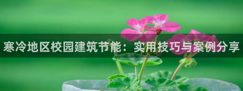 e尊国际7779：寒冷地区校园建筑节能：实用技巧与案例分享