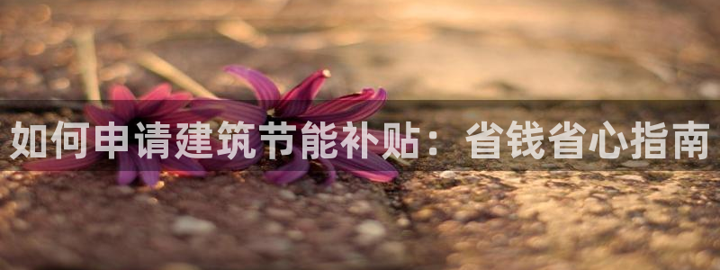 e尊国际官方网站：如何申请建筑节能补贴：省钱省心指南