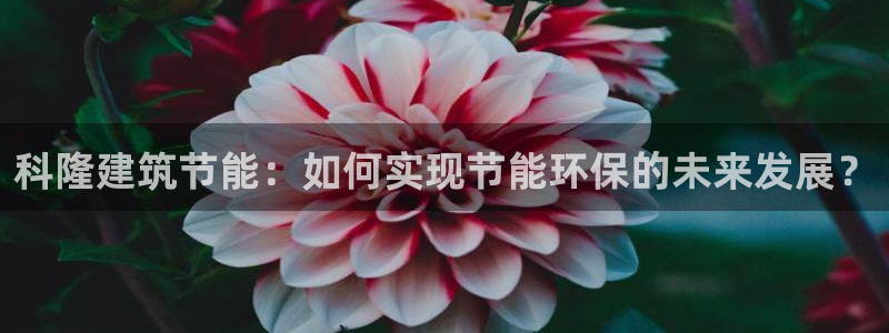 e尊国际-e尊国际官网：科隆建筑节能：如何实现节能环保的未来发展？