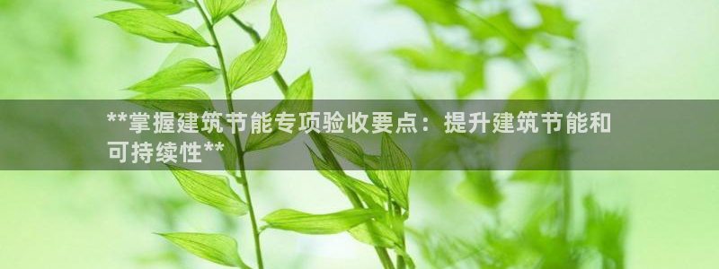 e尊国际官网：**掌握建筑节能专项验收要点：提升建筑节能和
可持续性**