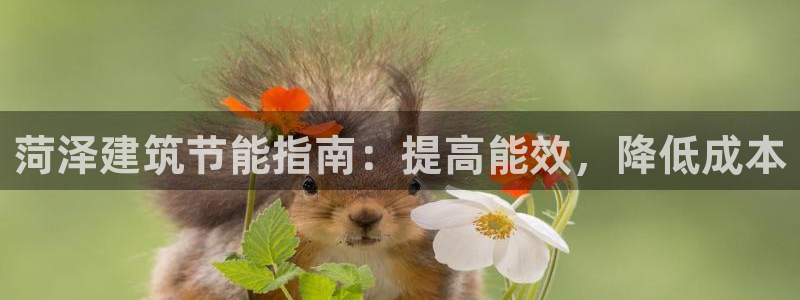 e尊国际-可可计划：菏泽建筑节能指南：提高能效，降低成本